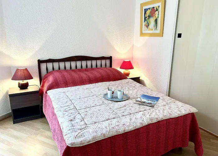Lägenhet T3 Avec Terrasse Et Garage Proche - Saint-raphael - Fr-1-226a-146